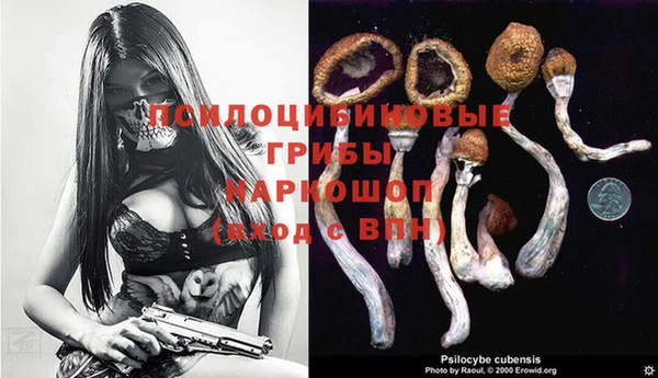 Альфа ПВП Покров