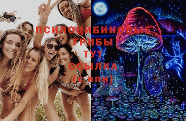 винт Протвино