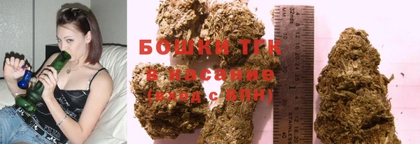 индика Пролетарск