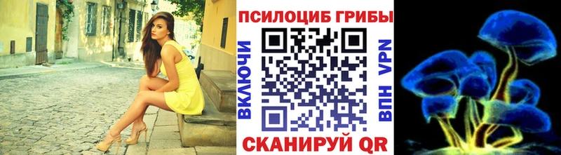 Галлюциногенные грибы прущие грибы  купить   Тайга 