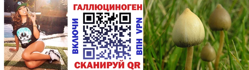 Псилоцибиновые грибы MAGIC MUSHROOMS Тайга